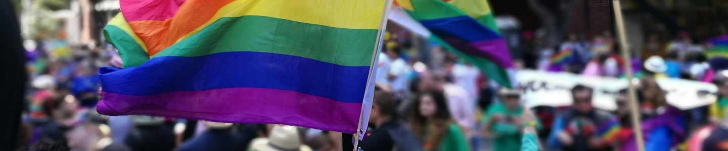 Pride-polsbandjes
