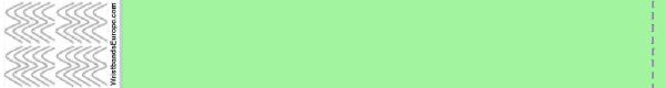 Tyvek Mintgroen