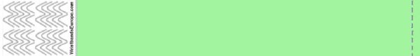 Effen Tyvek Mintgroen